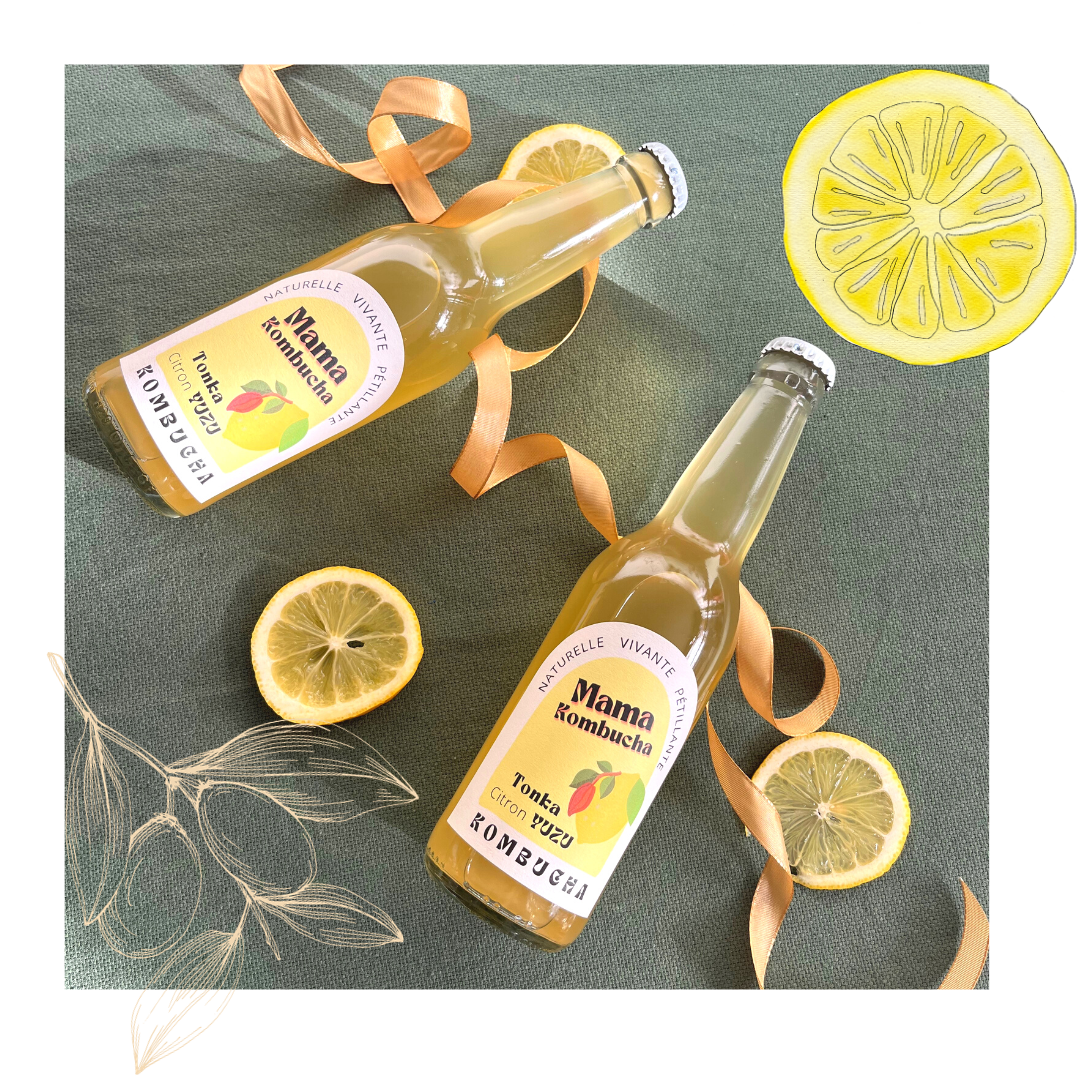 Mama Kombucha Bordeaux